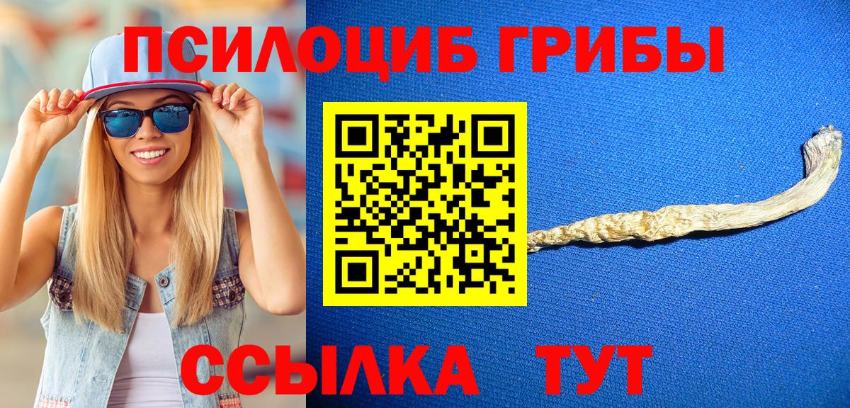 Псилоцибиновые грибы Magic Shrooms  Вход с VPN  Камышин 